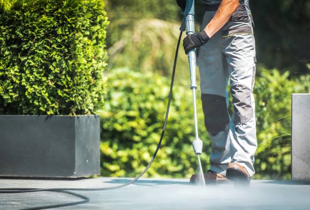 Best Gutter Cleaning  in Conestee, SC